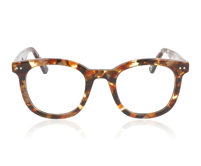Arhlo ARH001 Polished Brown Marble C2 Glasses - 49mm | 49