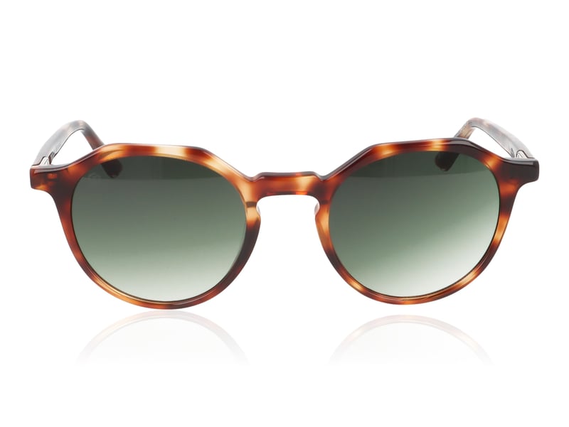Taylor Morris Oxford Tortoise C2 Sunglasses - 49mm | 49