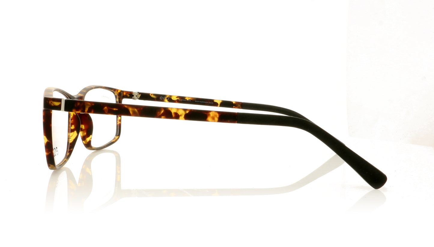 Eco Finlay DTRT Tortoise Glasses - Side