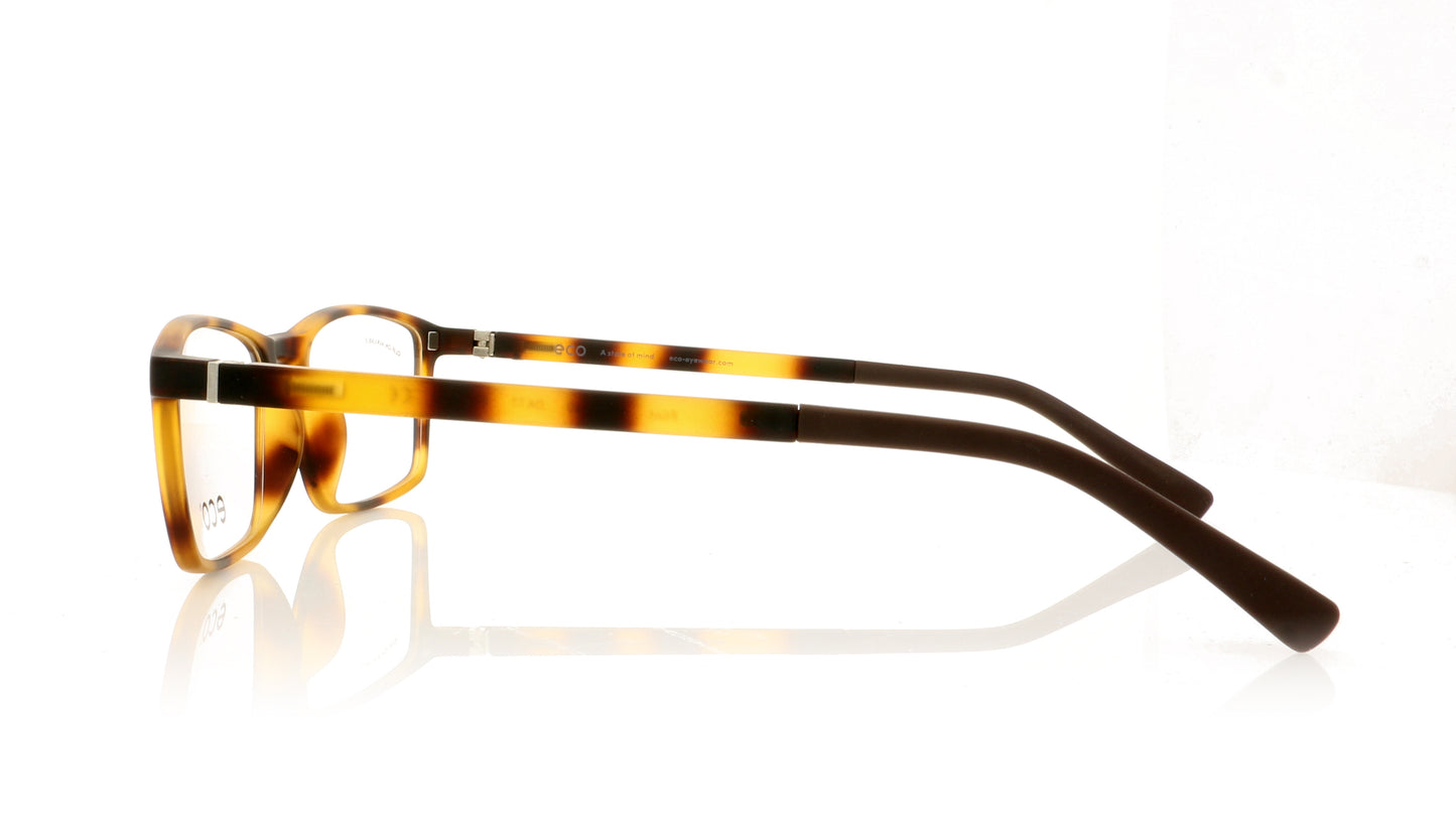 Eco Flint DKTT Tortoise Glasses - Side