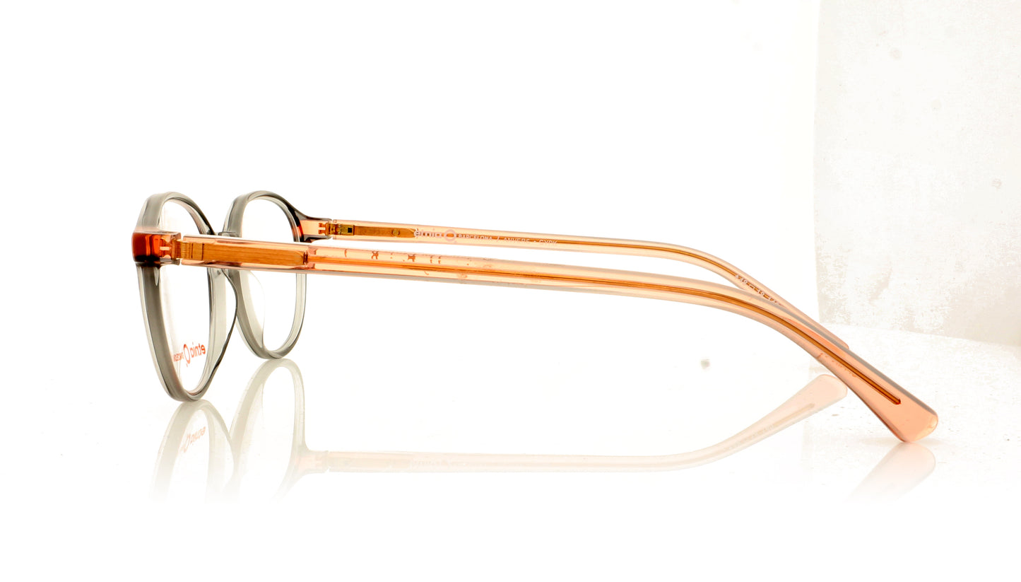 Etnia Barcelona Anvers GYPK Grey Glasses - Side