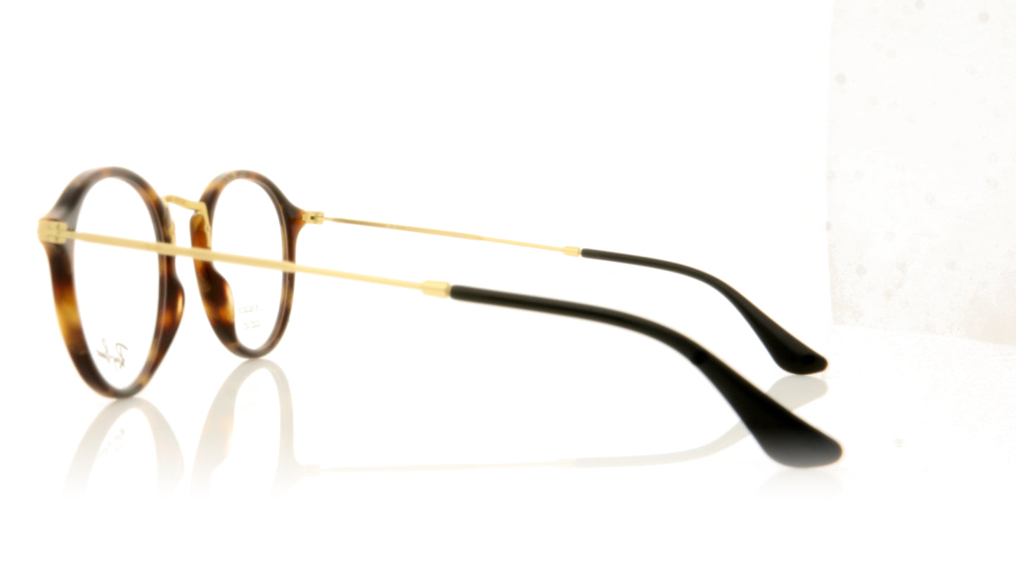 Ray-Ban RB2447V 5494 Havana Gold Glasses - Side