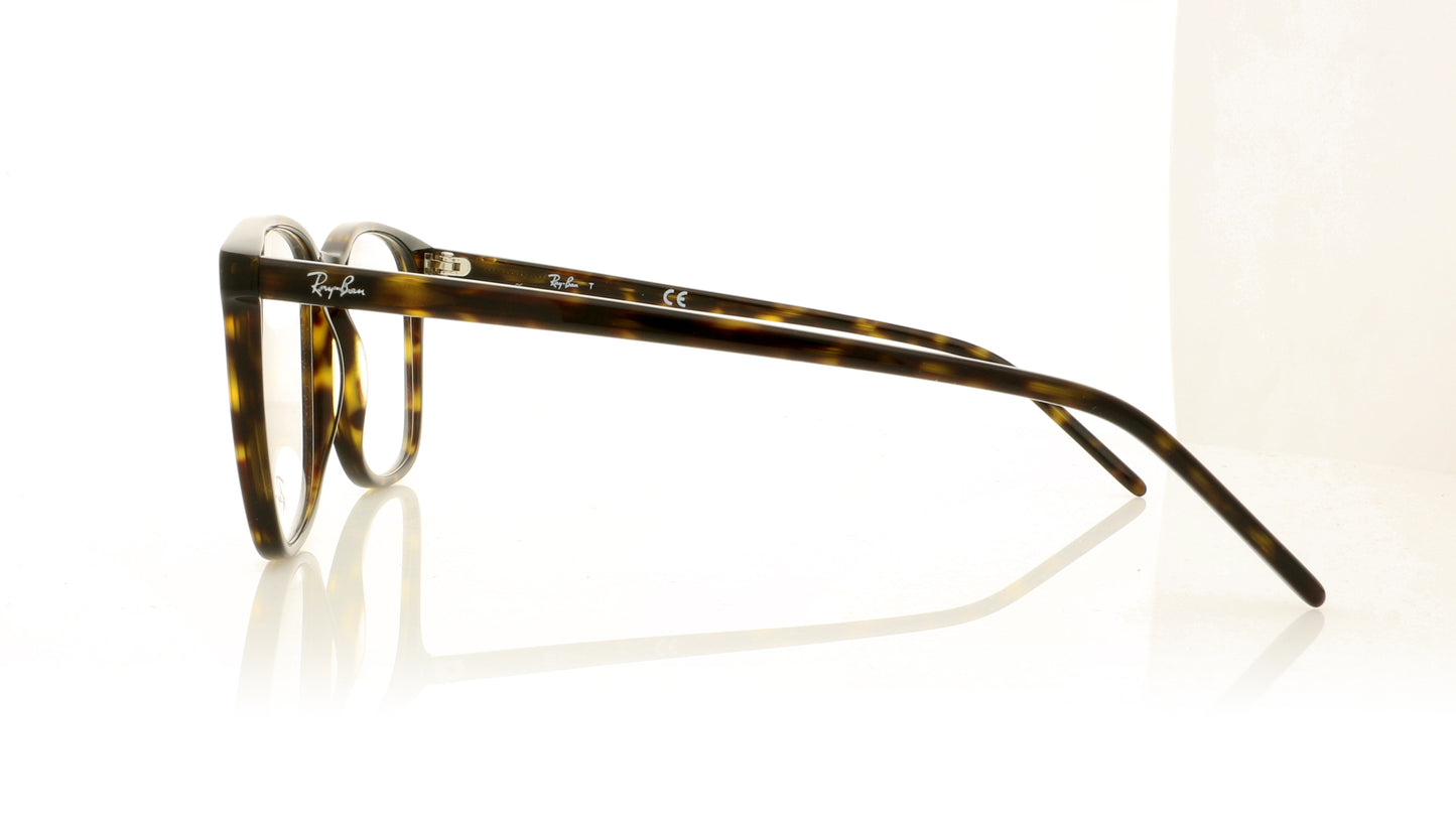 Ray-Ban RB5387 2012 Havana Glasses - Side