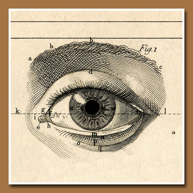 Meibomian Gland Dysfunction (MGD)