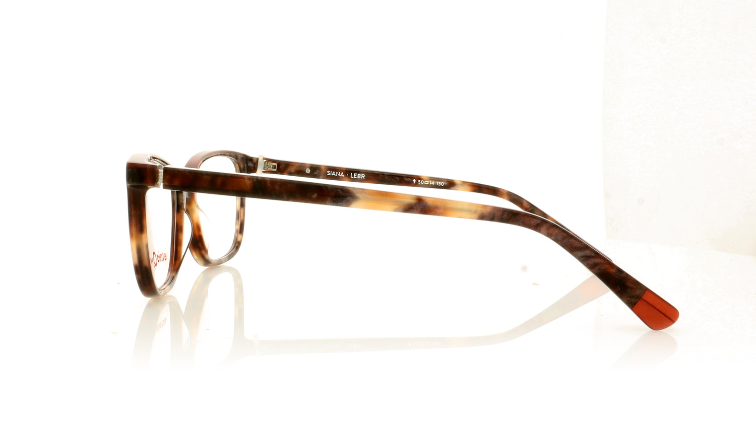 Etnia Barcelona Siana LEBR Leopard Brown Glasses - Side