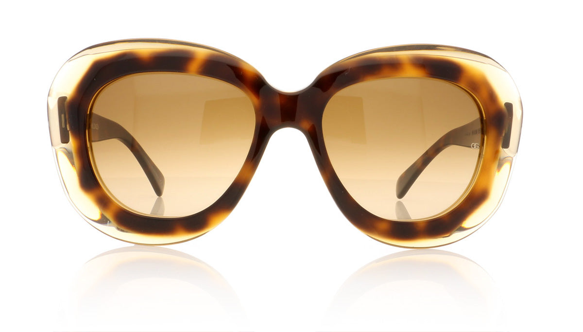 Oliver Goldsmith Norum 15 Tort Tea Sunglasses - Front