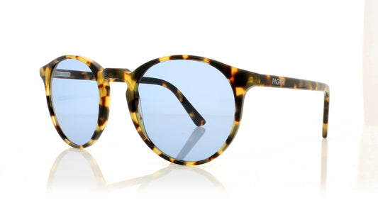 Pagani Dandy 228 Tortoiseshell Sunglasses - Angle