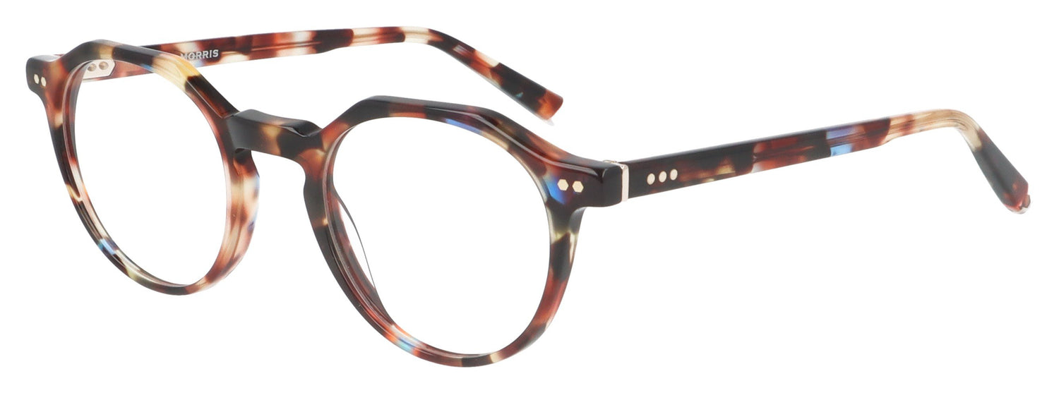 Taylor Morris TM019 C5 Tortoise Glasses - Angle