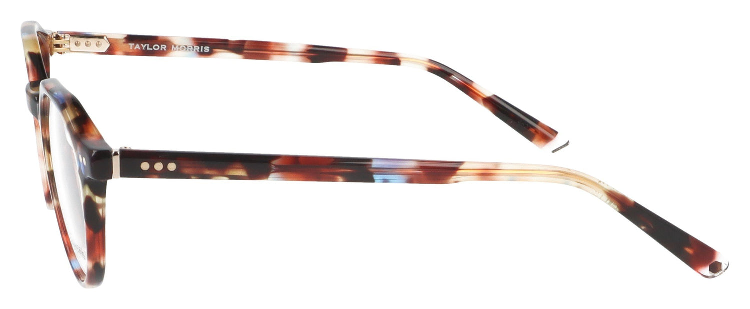 Taylor Morris TM019 C5 Tortoise Glasses - Side