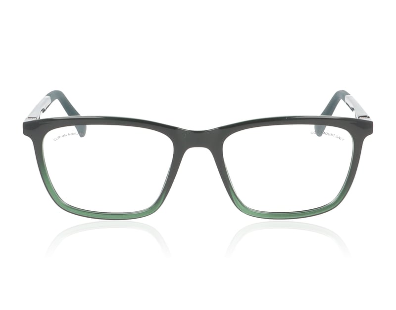 Eco Teak Black Green DGRN Glasses - 54mm | 54