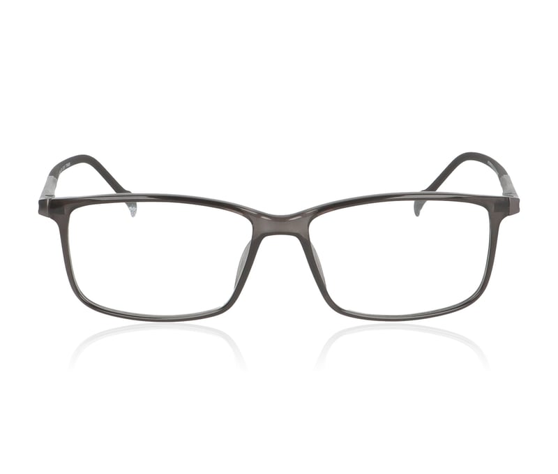 Stepper SI20096 Smoke F220 Glasses - 55mm | 55