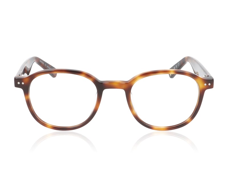 Arhlo ARH016 Brown Tort C1 Glasses - 48mm | 48