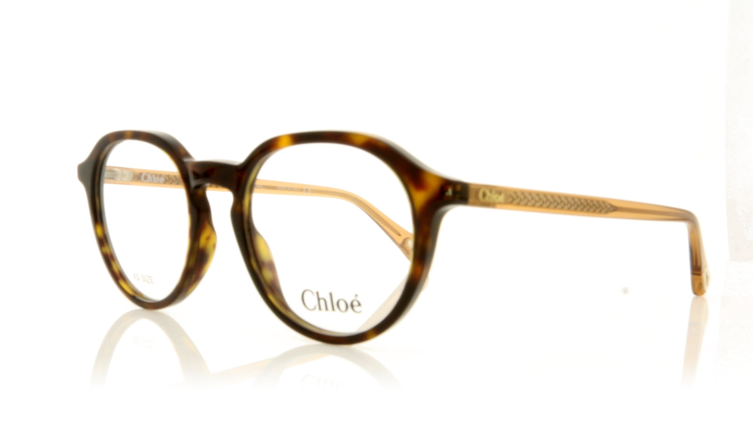 Chloé CH0012O 4 Havana Glasses - Angle