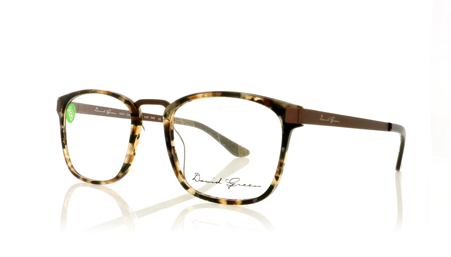 David Green Plata PL2 Bronze Glasses - Angle