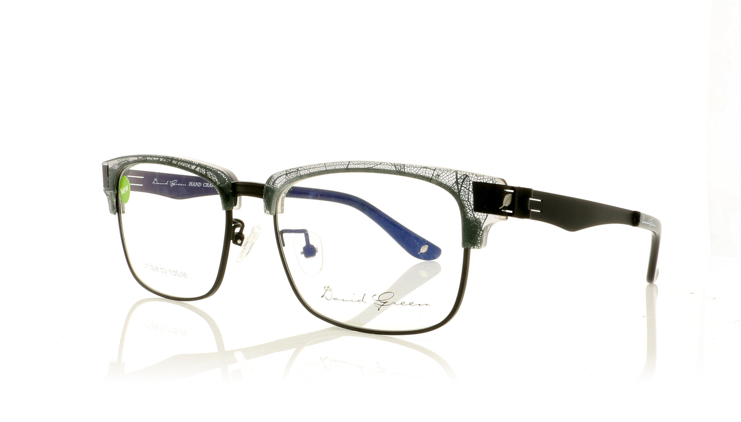 David Green Alive AJ2 Brown Glasses - Angle
