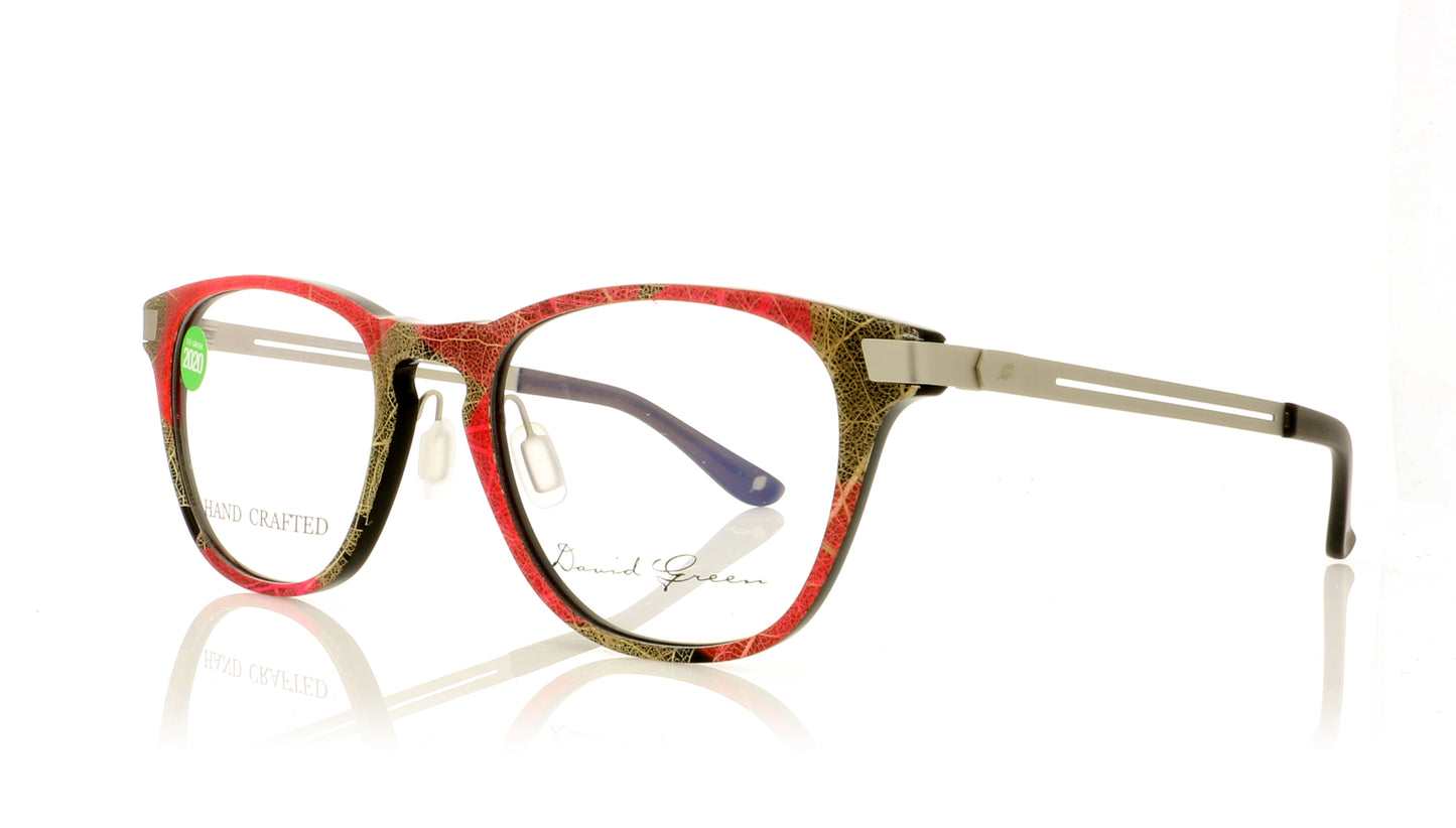 David Green Batura BG3 Black Glasses - Angle