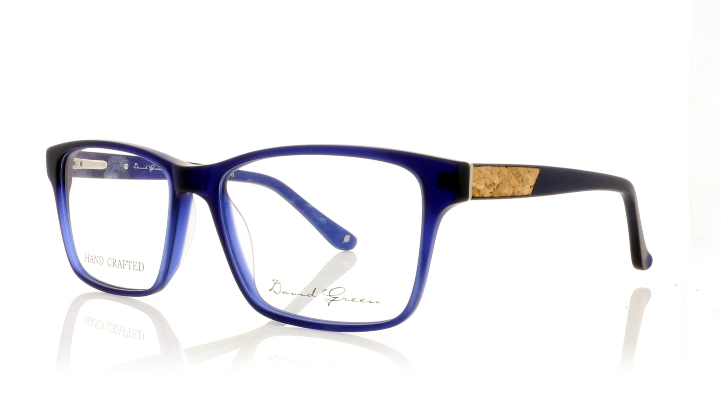 David Green Quercus QC4 Navy Glasses - Angle