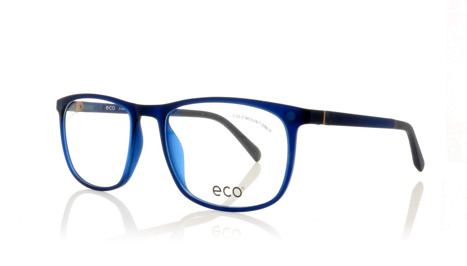 Eco Logan DBLU Blue Glasses - Angle