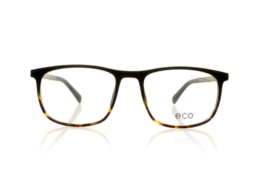 Eco Logan DTTG Tortoise Glasses - Front