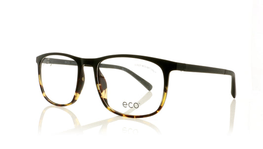 Eco Logan DTTG Tortoise Glasses - Angle