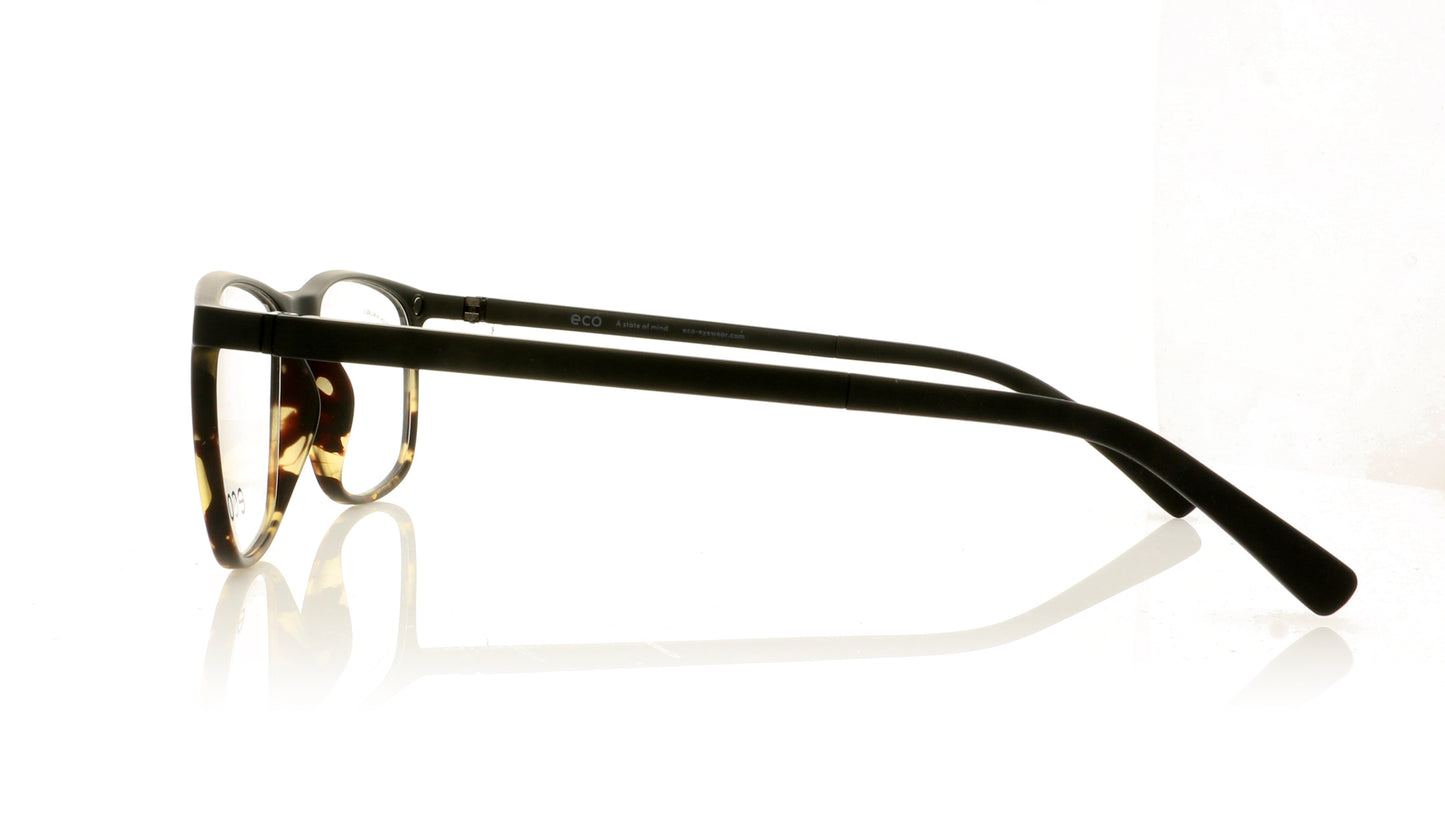 Eco Logan DTTG Tortoise Glasses - Side