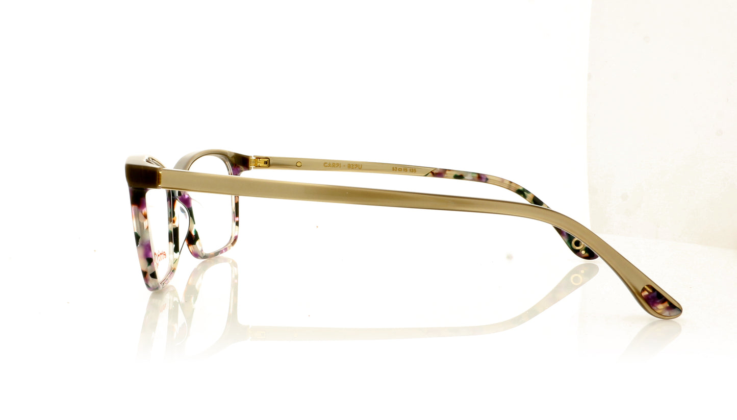 Etnia Barcelona Carpi BZPU Bronze Purple Glasses - Side