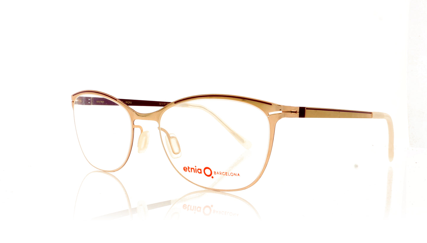 Etnia Barcelona Irvine PGPU Purple Gold Glasses - Angle