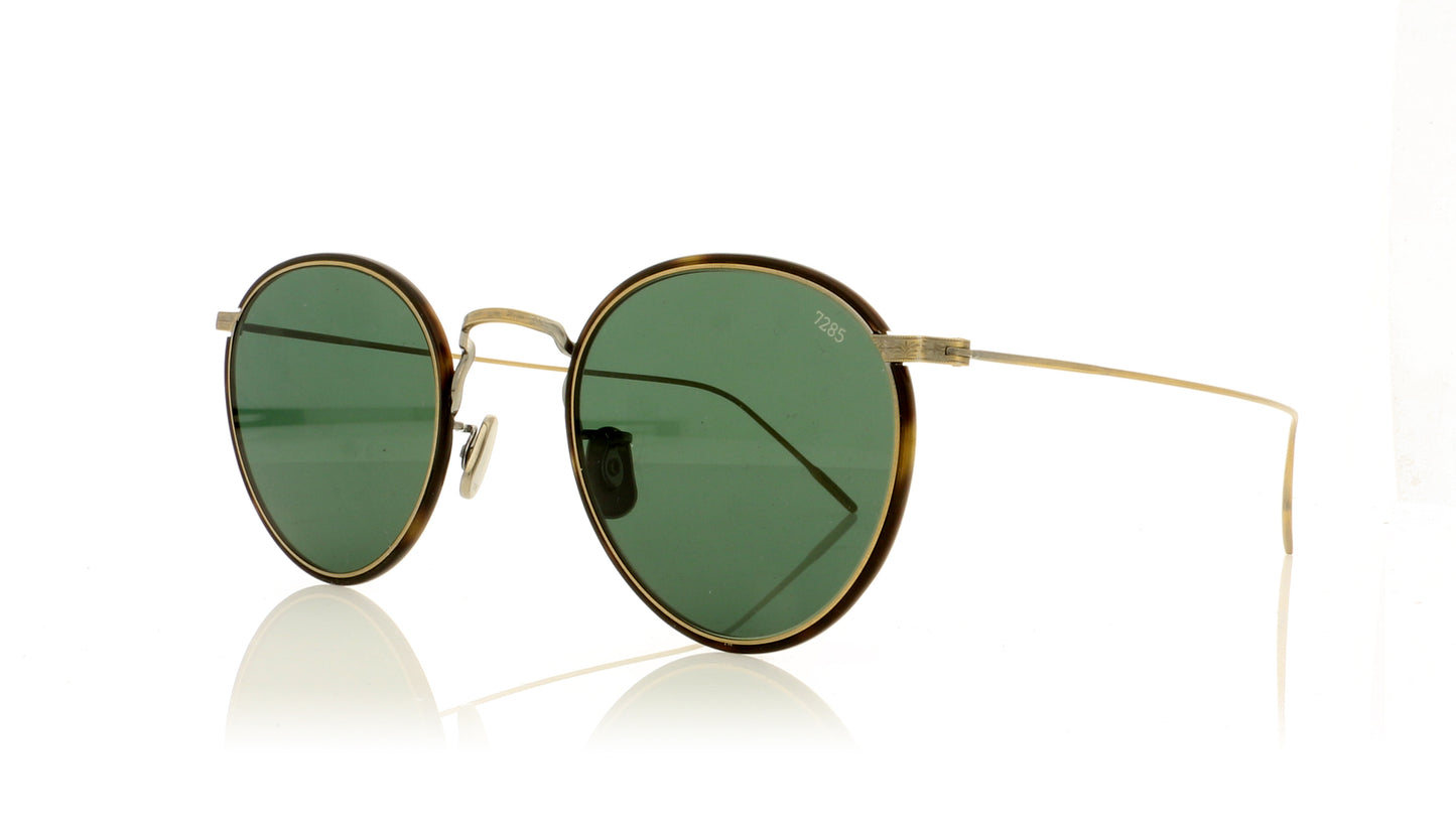 Eyevan 7285 EV717W W3010 Tortoise Sunglasses - Angle
