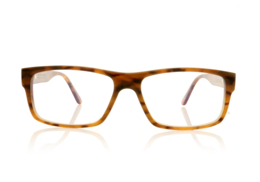 Hoffman Natural Eyewear Hoffmann 305 9085 Horn Glasses - Front