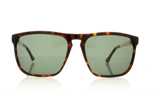 John Dalia Sean P C12 Dark Brown Tort Sunglasses - Front