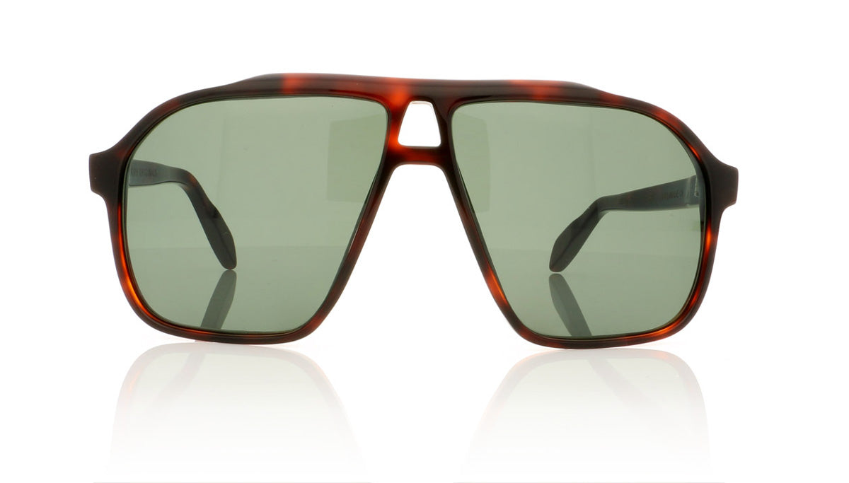 Kirk Originals Cassis SHG15p Havana Sunglasses - Front