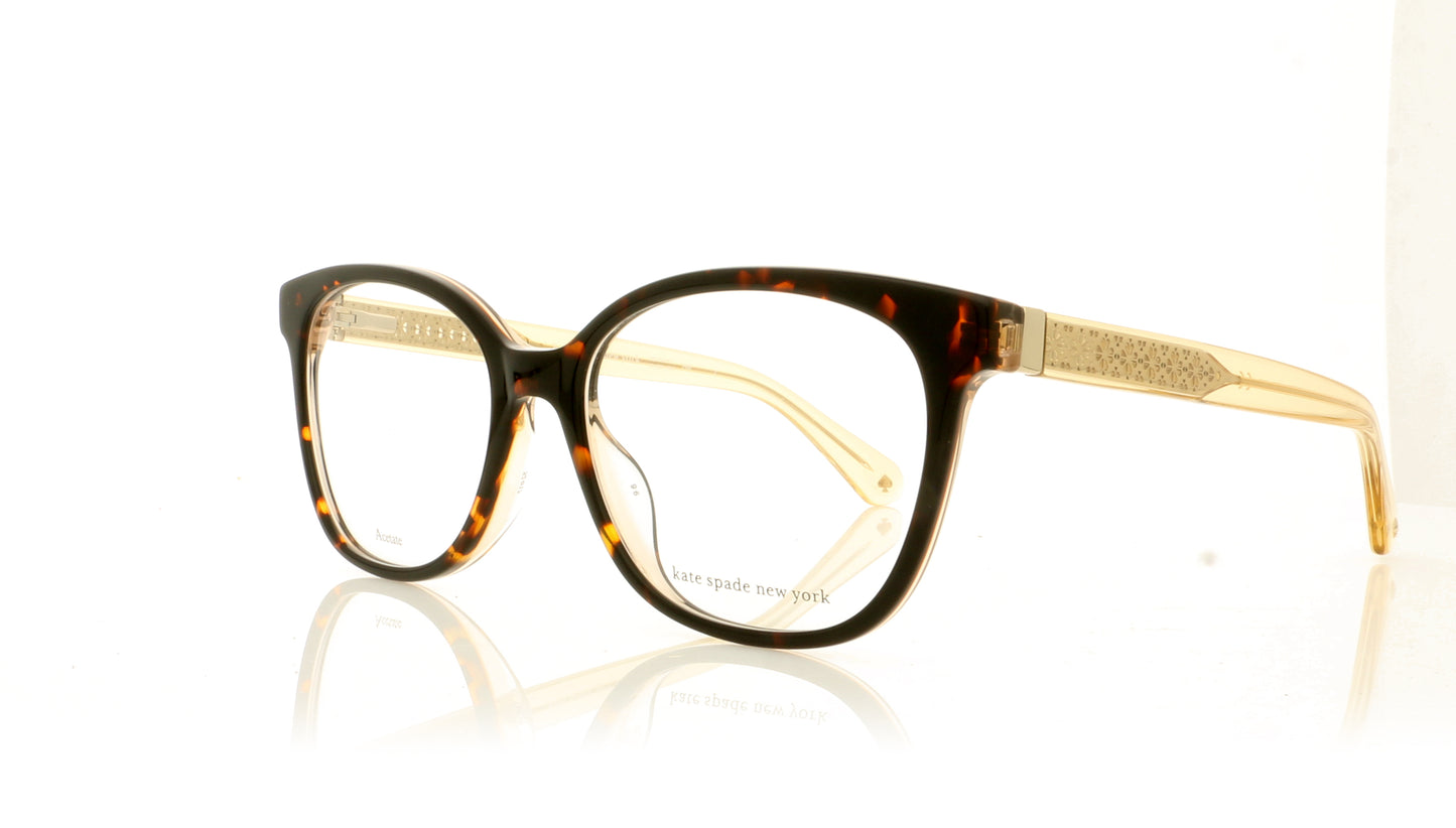 Kate Spade PAYTON 86 Dark Havana Glasses - Angle