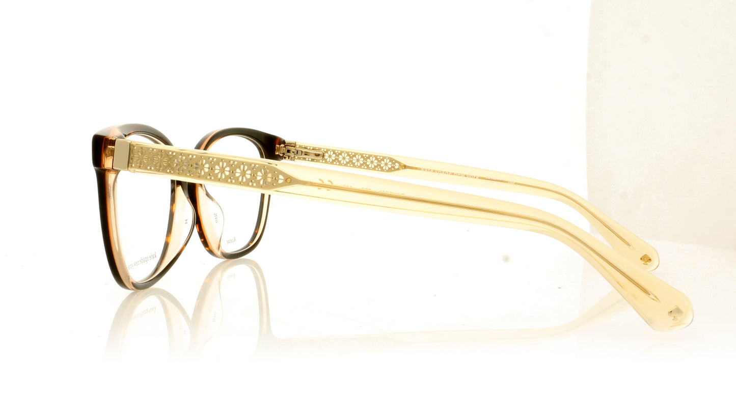 Kate Spade PAYTON 86 Dark Havana Glasses - Side