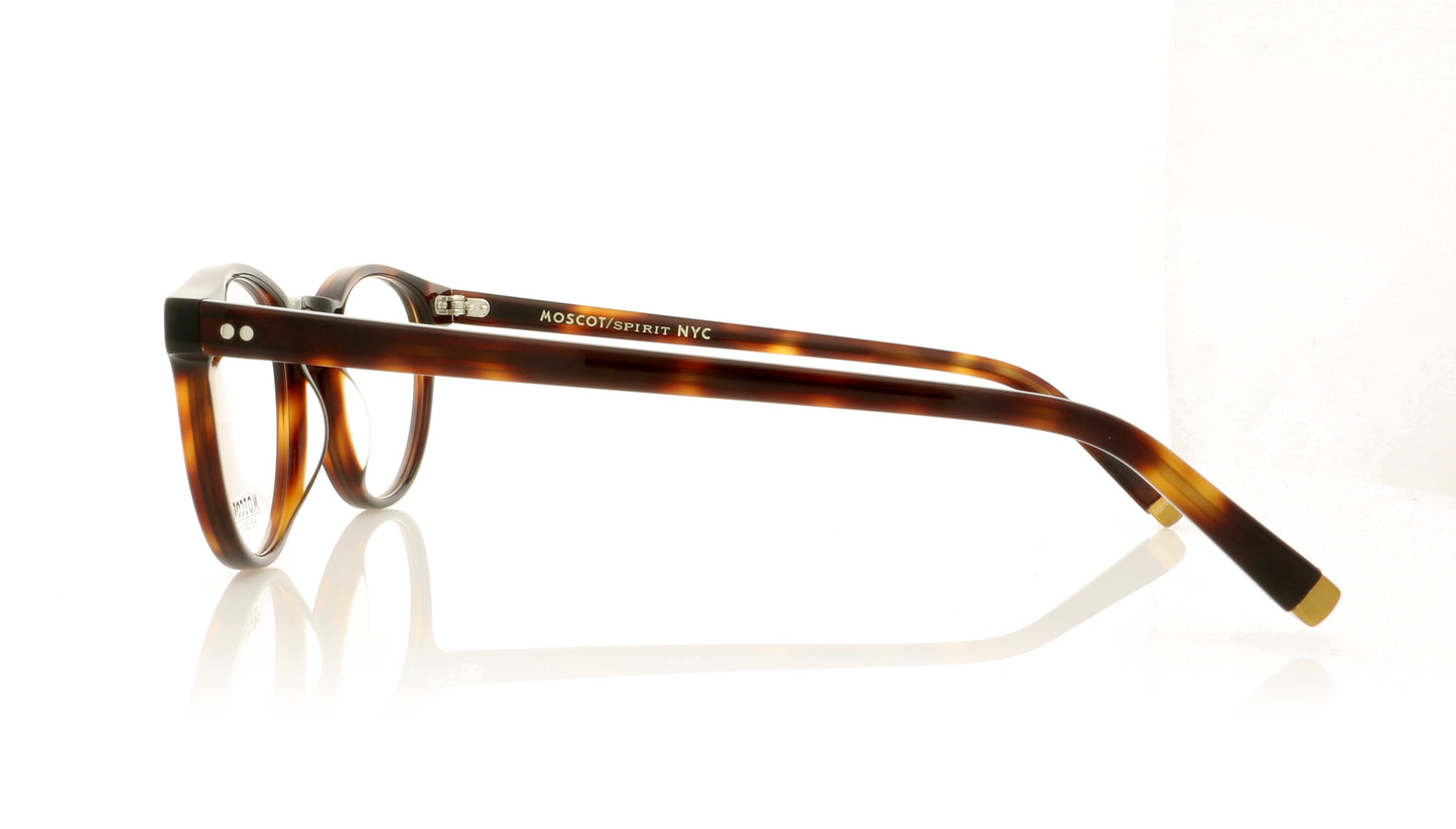 Moscot Moscot Frankie 2002-01 Tortoise Glasses - Side