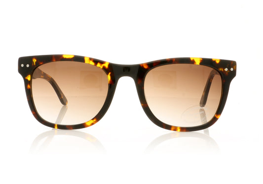 Pala Neo Tort Tortoise Sunglasses - Front
