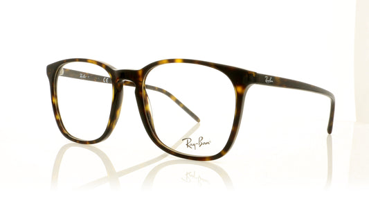 Ray-Ban RB5387 2012 Havana Glasses - Angle