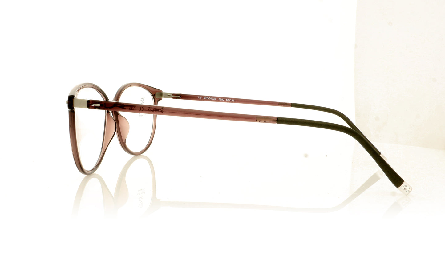 Stepper STS-30036 STS30036 F880 Brown Glasses - Side