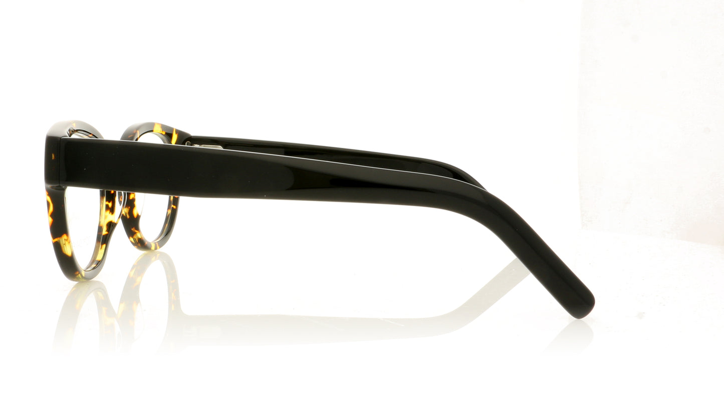 Tom Davies TD514 1170 Matt Demi Brown Glasses - Side