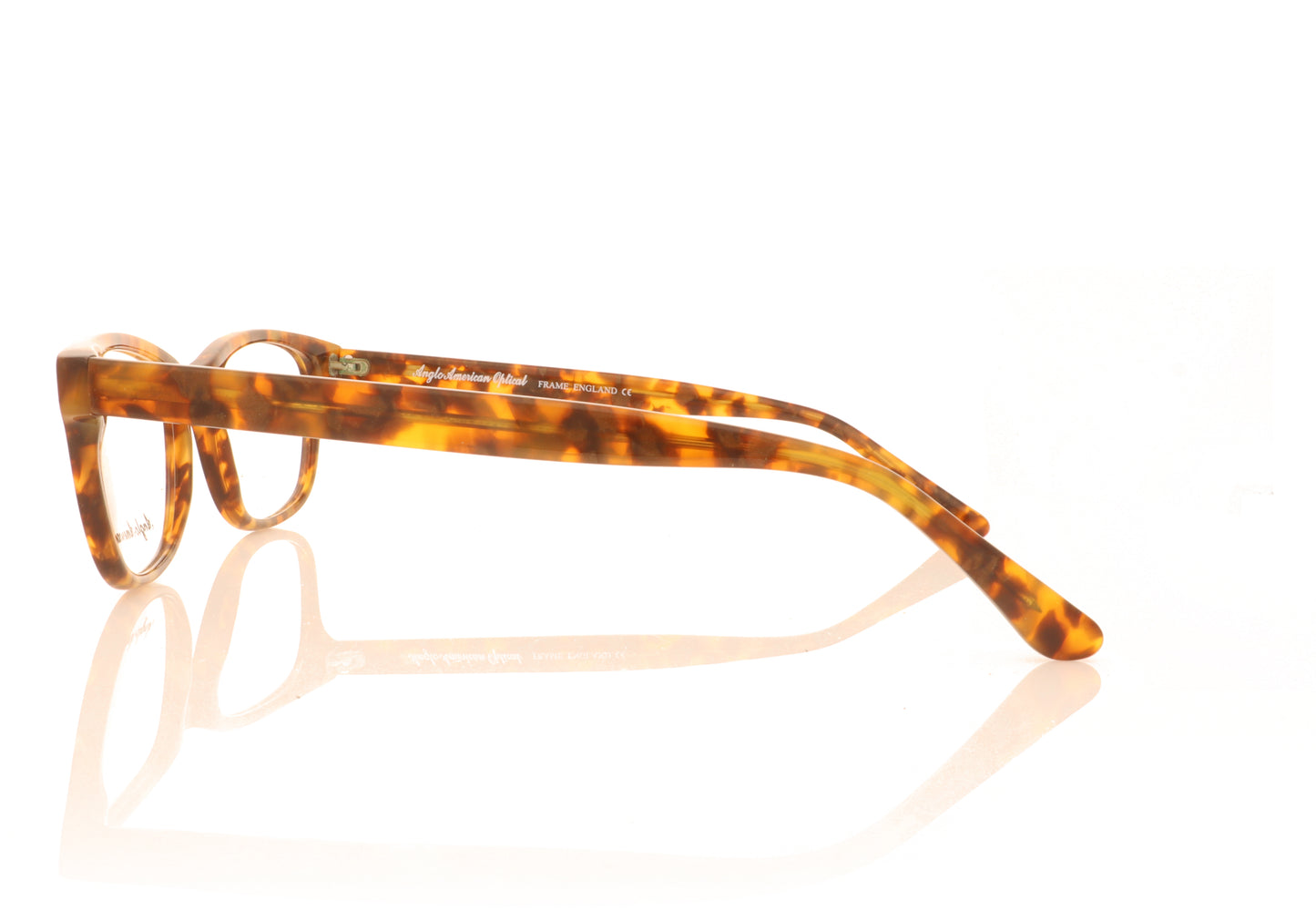 Anglo American Optical Tyler BUT2 Brown Glasses - Side