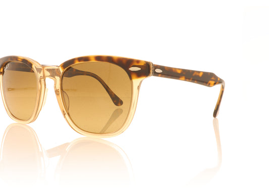 Ray-Ban RB 2298 1292 Havana Sunglasses - Angle